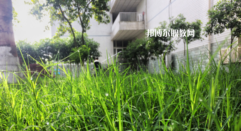 樂山計(jì)算機(jī)學(xué)校2022年學(xué)費(fèi)、收費(fèi)多少