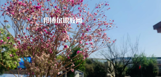 成都華大醫(yī)藥衛(wèi)生學(xué)校怎么樣、好不好