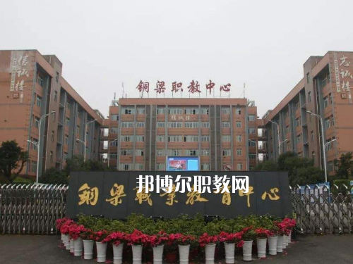 重慶銅梁職業(yè)教育中心2022年報(bào)名條件、招生要求、招生對象
