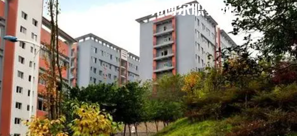 四川市綿竹職業(yè)中專學(xué)校2022年報(bào)名條件、招生要求、招生對(duì)象