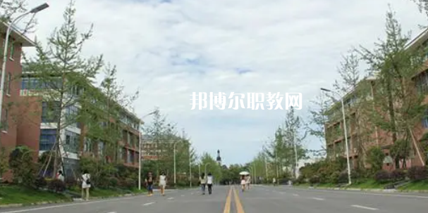 2023年四川省本地大專(zhuān)院校排行榜