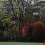 成都市郫都區(qū)特殊教育學校
