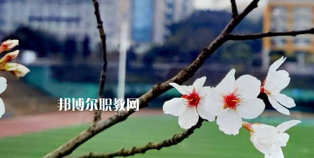 2023眉山技師學(xué)院招生計(jì)劃 招生人數(shù)是多少(附要求、條件、對(duì)象)