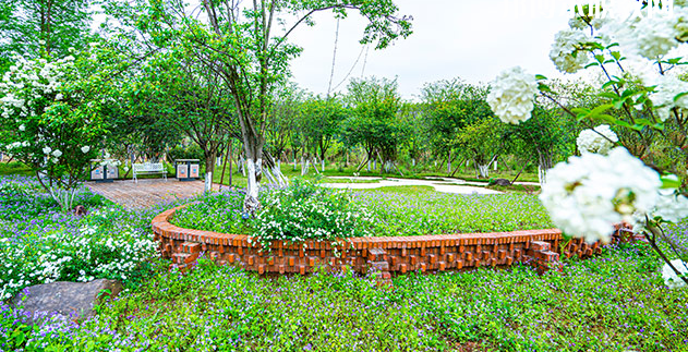 重慶望江技工學(xué)校地址在哪里，哪個地區(qū)，哪個城市?