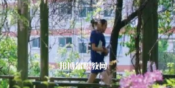 2023金華市成功學(xué)校招生計劃 招生人數(shù)是多少(附要求、條件、對象)