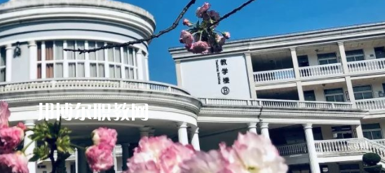 2023紹興越秀外國語學(xué)校招生計劃 招生人數(shù)是多少(附要求、條件、對象)