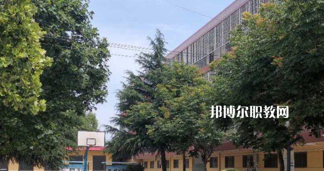 2023楊凌師范學(xué)校招生計(jì)劃 招生人數(shù)是多少(附要求、條件、對(duì)象)