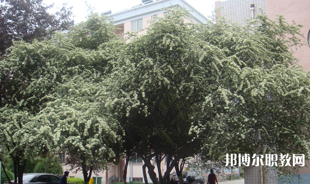 寶雞技師學(xué)院地址，乘車路線