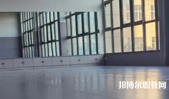 2023秦皇島市藝新舞蹈學校招生計劃 招生人數(shù)是多少(附要求、條件、對象)