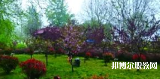 2023隆堯縣職業(yè)技術(shù)教育中心招生計劃 招生人數(shù)是多少(附要求、條件、對象)