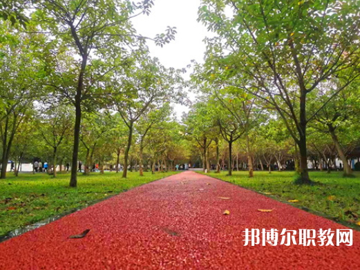 四川國盛技工學校網(wǎng)站網(wǎng)址主頁  