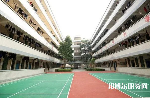 德慶縣中等職業(yè)學校2023年招生錄取分數線（2024參考）