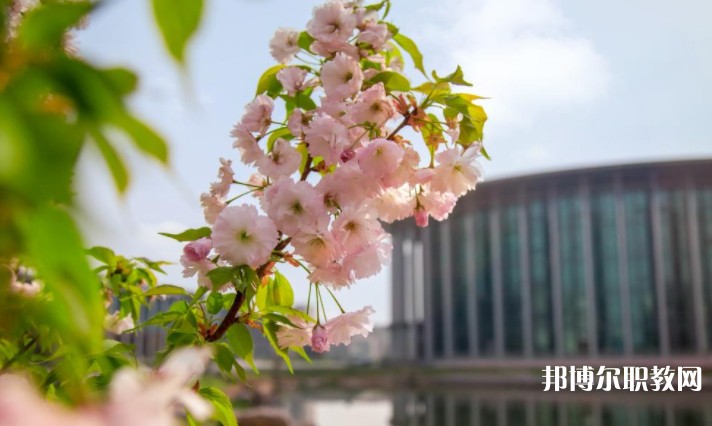 河南藝術(shù)職業(yè)學(xué)院中專部怎么樣、好不好