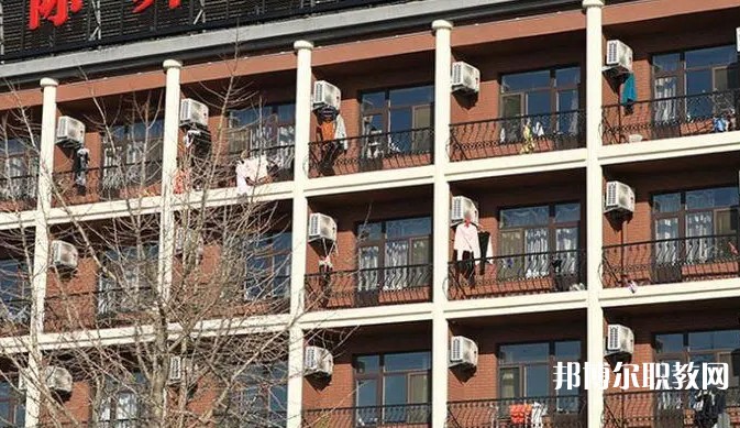 2024大連國(guó)際舞蹈學(xué)校招生計(jì)劃 招生人數(shù)是多少(附要求、條件、對(duì)象)