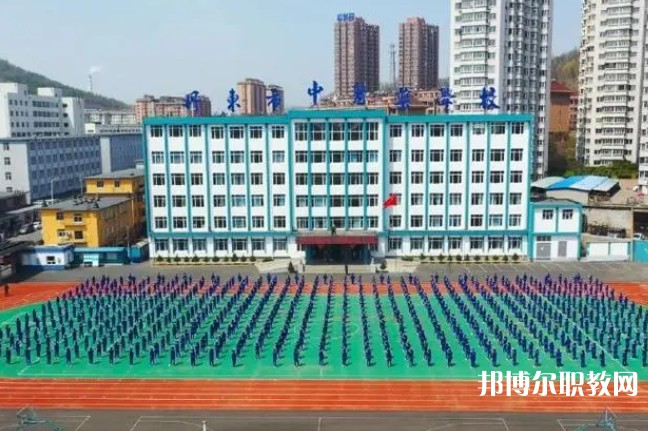 2024丹東市中醫(yī)藥學(xué)校招生計(jì)劃 招生人數(shù)是多少(附要求、條件、對(duì)象)