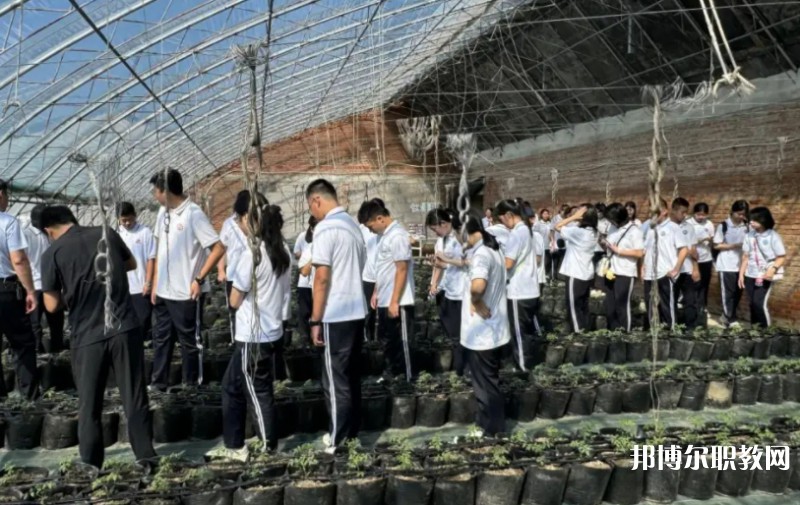 2024營(yíng)口市農(nóng)業(yè)工程學(xué)校招生計(jì)劃 招生人數(shù)是多少(附要求、條件、對(duì)象)