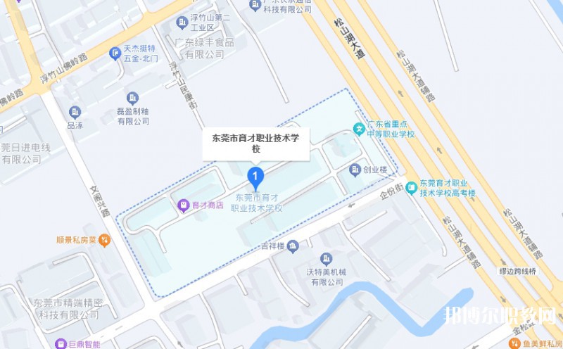 東莞市育才職業(yè)技術(shù)學(xué)校地址，乘車路線