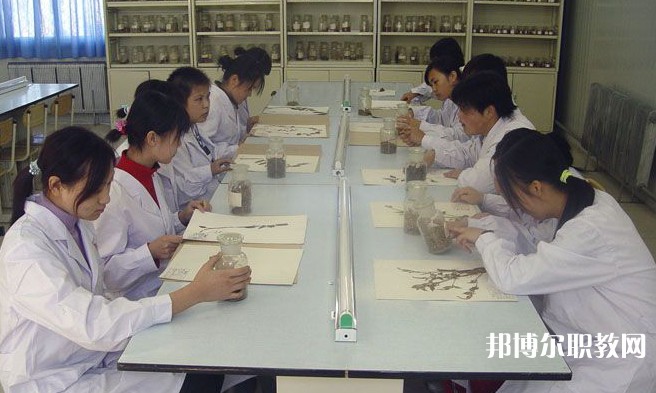 沈陽市中醫(yī)藥學校怎么樣、好不好