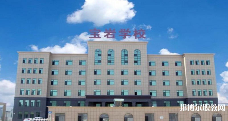 2025沈陽寶巖藝術(shù)學(xué)校招生計劃 招生人數(shù)是多少(附要求、條件、對象)